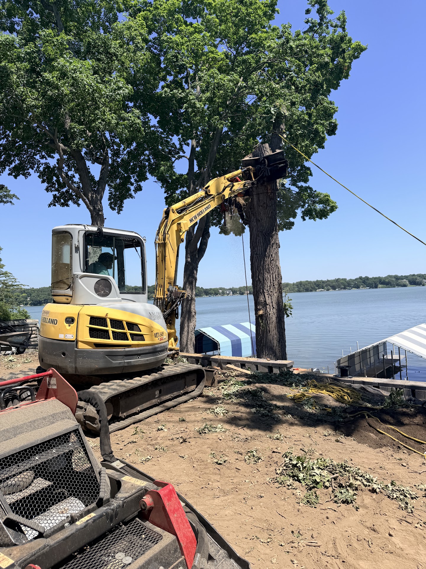 Quintanilla equipment handling a tree removal job near a Minnesota lake